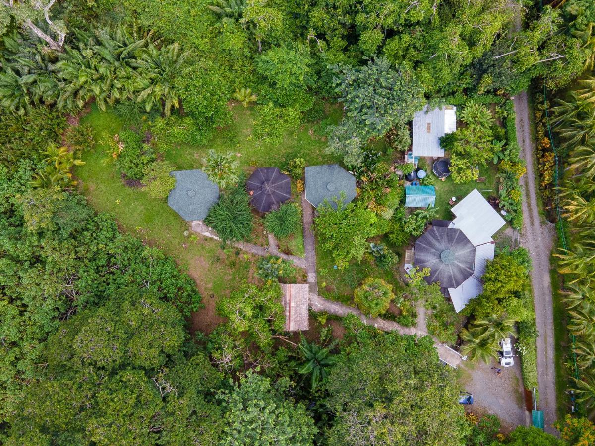 Bungalows Ache Cahuita Εξωτερικό φωτογραφία