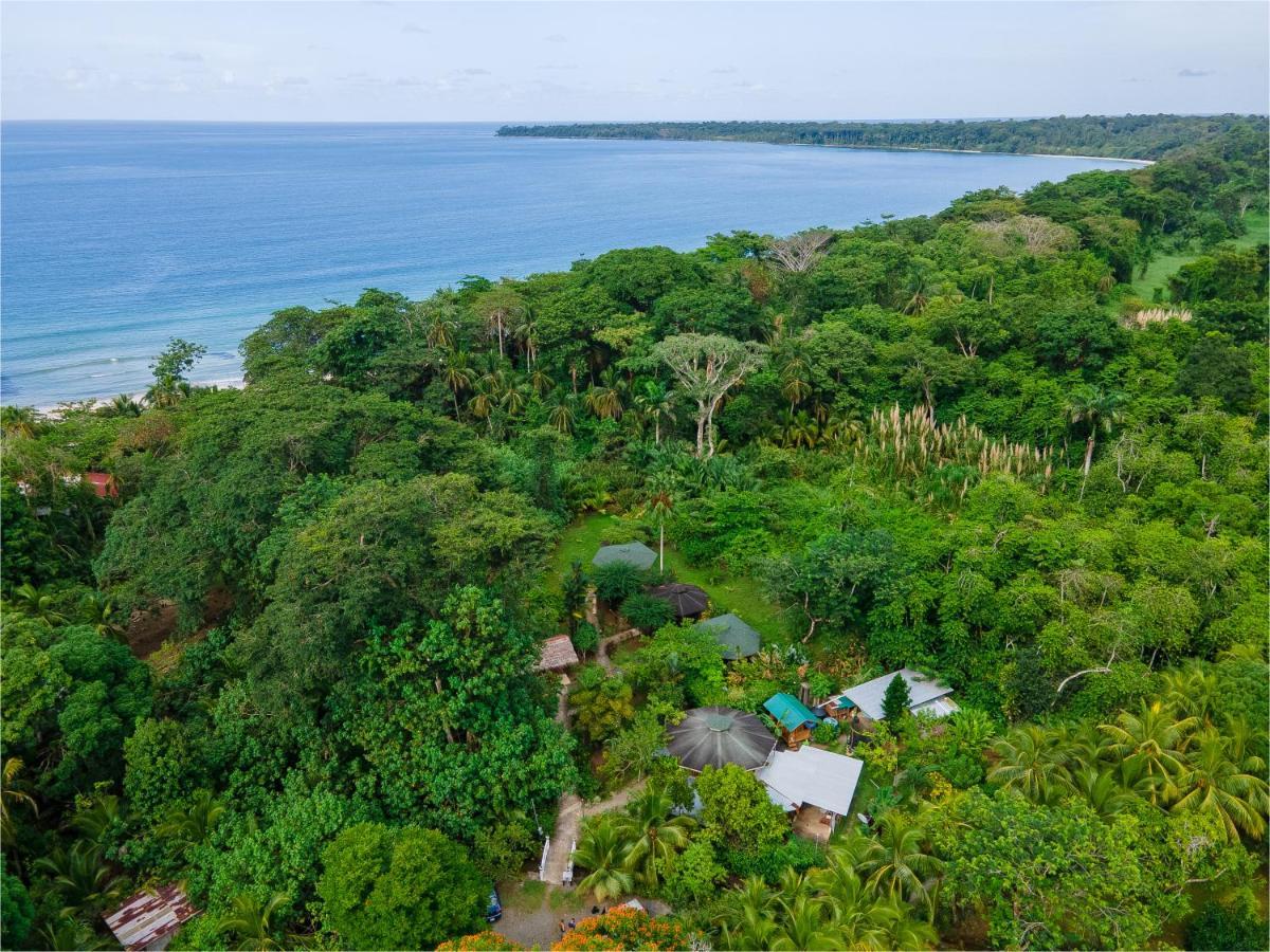 Bungalows Ache Cahuita Εξωτερικό φωτογραφία