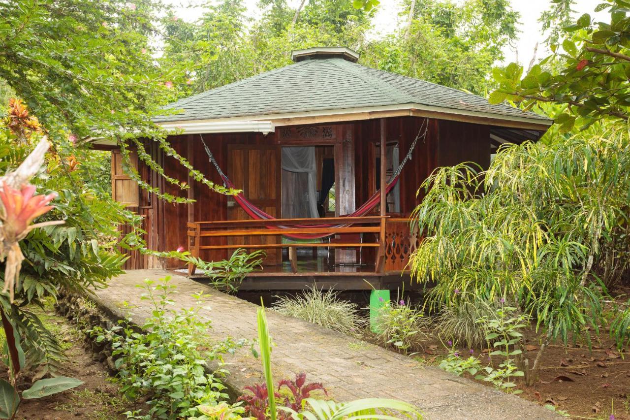 Bungalows Ache Cahuita Εξωτερικό φωτογραφία