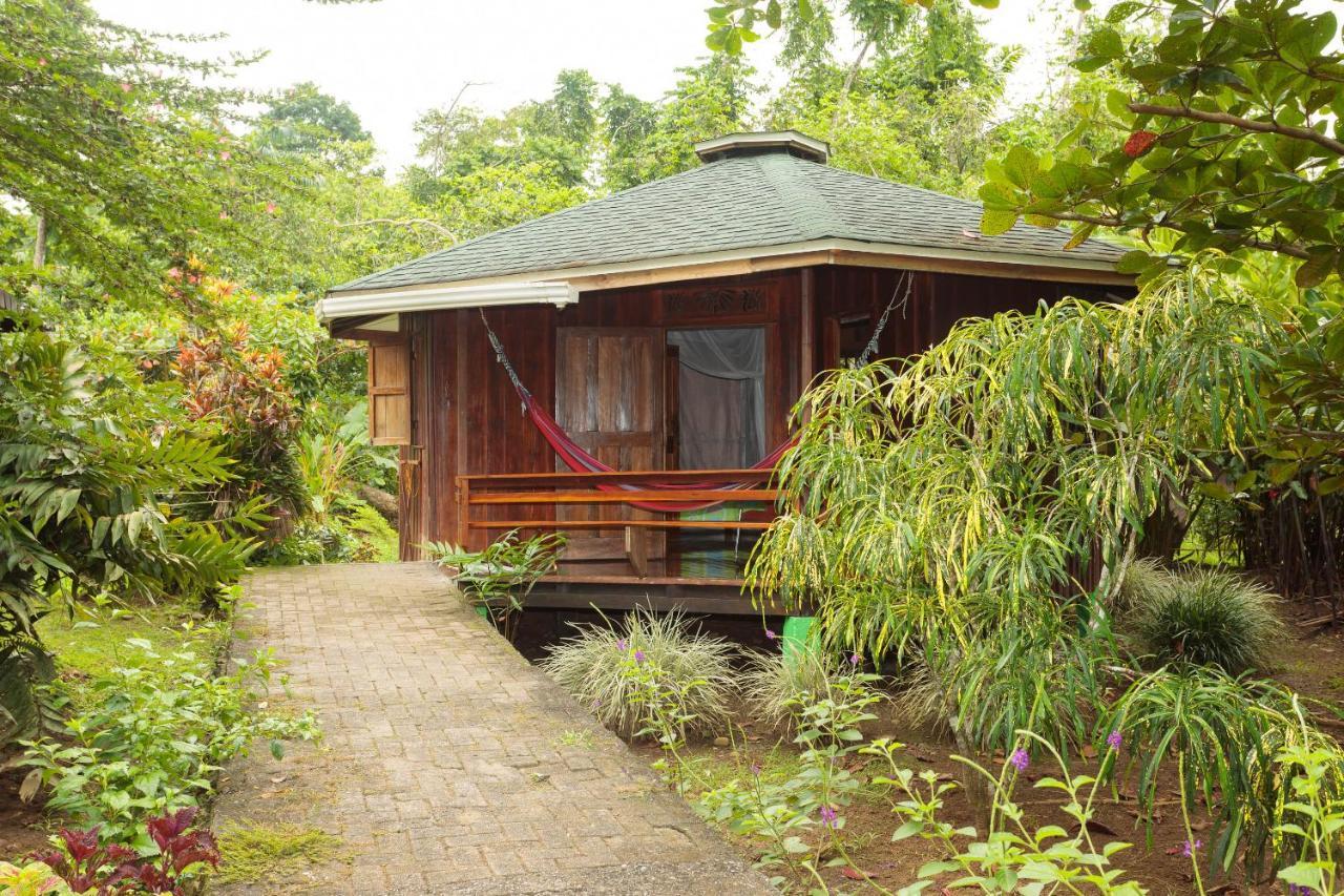 Bungalows Ache Cahuita Εξωτερικό φωτογραφία