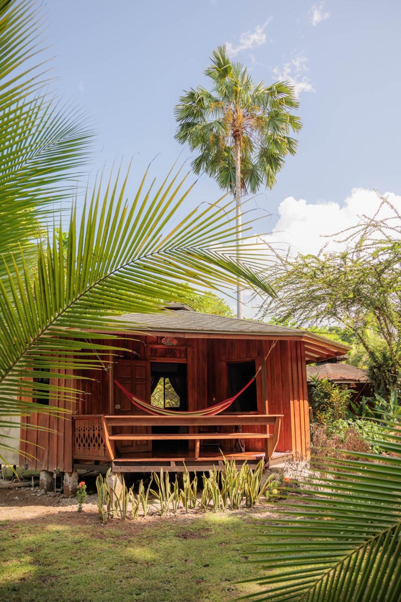 Bungalows Ache Cahuita Εξωτερικό φωτογραφία