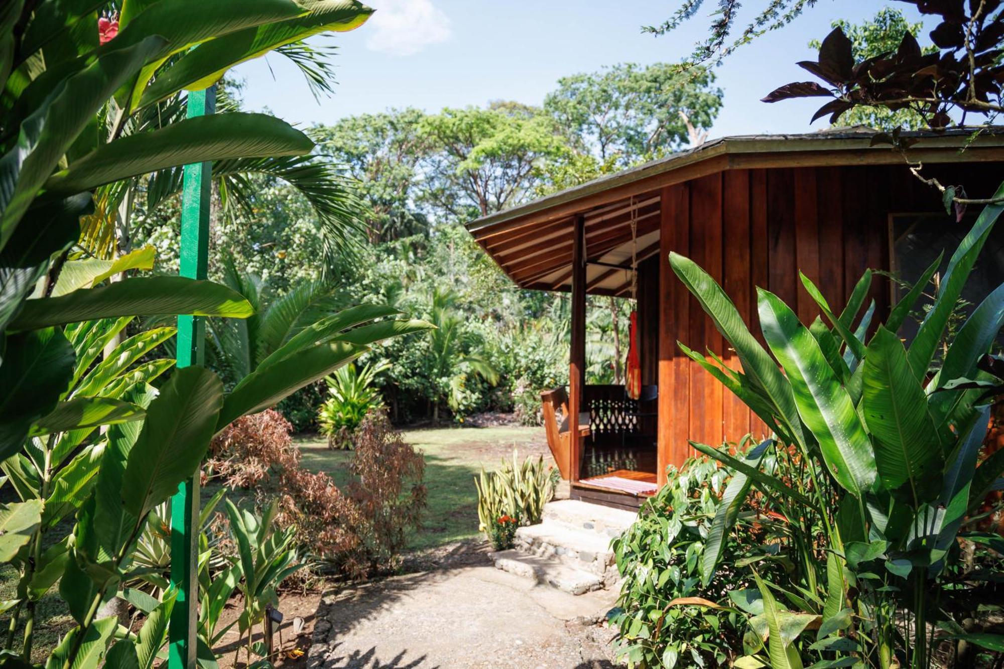Bungalows Ache Cahuita Εξωτερικό φωτογραφία