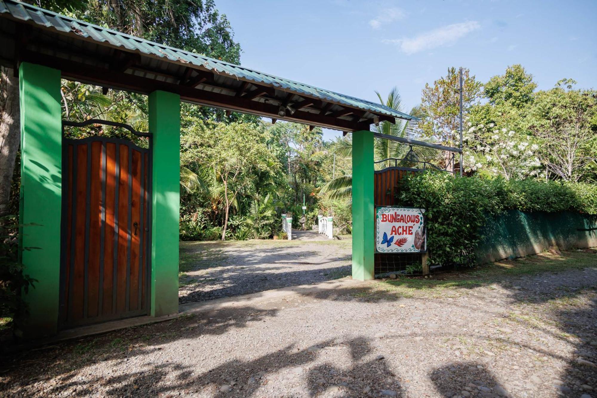 Bungalows Ache Cahuita Εξωτερικό φωτογραφία